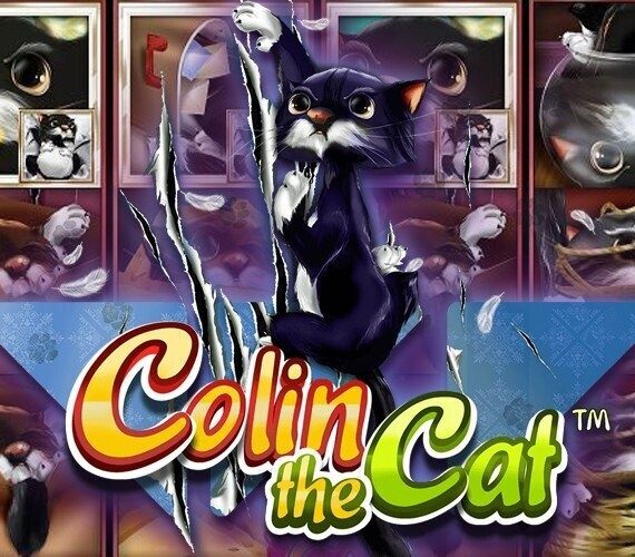 Colin the Cat